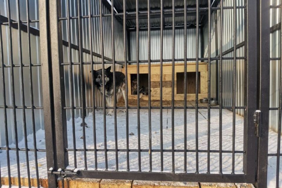 ��� ����������� �������� ������ ������ ���������� ���������� ������������ ��������