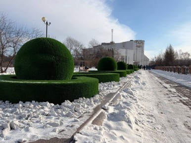 Процесс озеленения Биробиджана и создания комфортной городской среды в самом разгаре