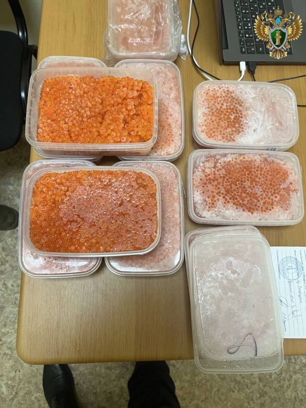 62-������ ���������� ��������� ���� ������ ����������� � ��� ��� ������ 100 �� ���� ������ � ����� �