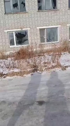 ������ ���. �������� ���������� �� ������ ����� ����������