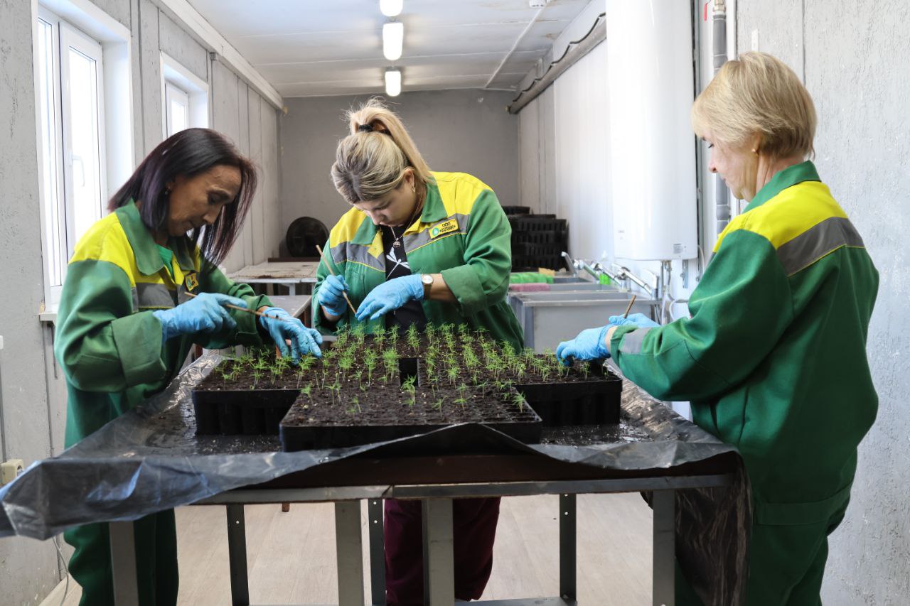 Индустриальный парк «Шалом» – драйвер развития экономики ЕАО Индустриальный парк «Шалом» – драйвер развития экономики ЕАО