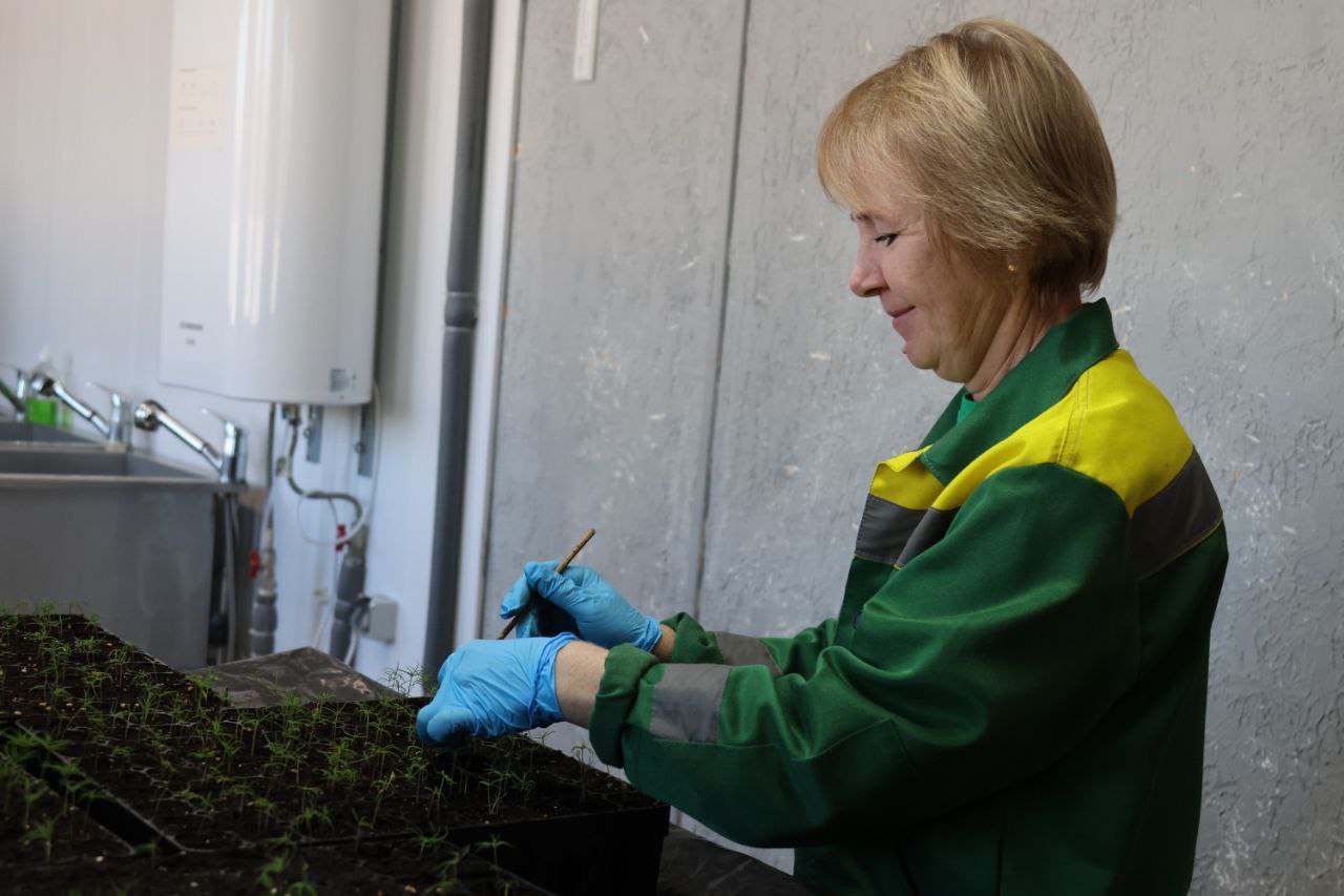 Индустриальный парк «Шалом» – драйвер развития экономики ЕАО Индустриальный парк «Шалом» – драйвер развития экономики ЕАО