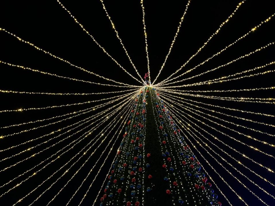 ���, ���, ��� � ������, ����!