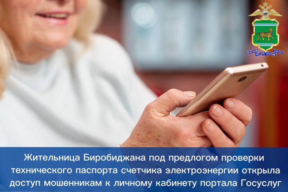 Жительница Биробиджана под предлогом проверки технического паспорта счетчика электроэнергии открыла доступ мошенникам к личному кабинету портала Госуслуг