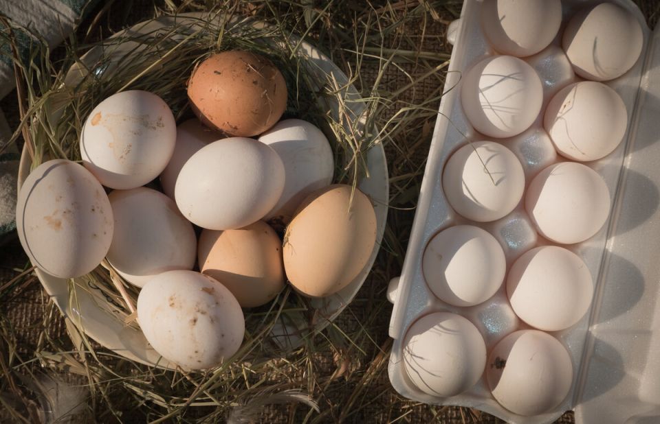 ��� ����������� ������� ��� ���: �������� ������ � ������