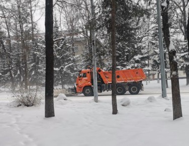 ������������ ������ ��������� ���������� �� ����� � �����������