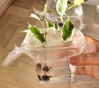 ������� ��������� ���������� �������� � ����