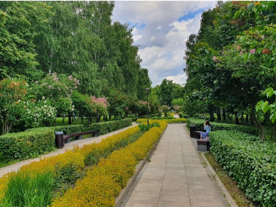 ���� ��� ���� �����: �������� ��������� � ������