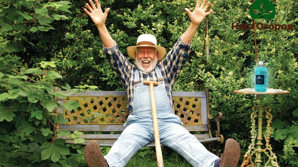 ���������� ��� �������: ��� ���� ������ ��������� �������