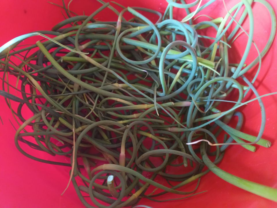 ��������� �������: ����������� ��������� ��� �������� � ��������� ������