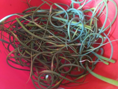 ��������� �������: ����������� ��������� ��� �������� � ��������� ������