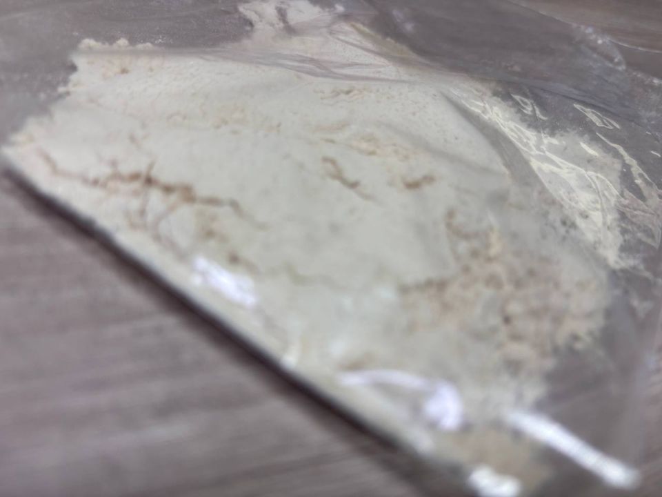 ����� 150 �������� � ����������� ���������� � �����������-������� �� ������� � �����������