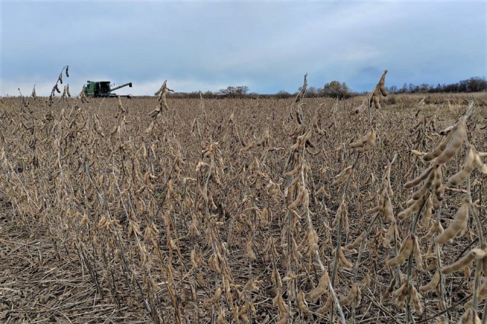 �� �������� ����� 2025 ���� � ��� ������� � ������ ����� 1200 �� ����� �������������