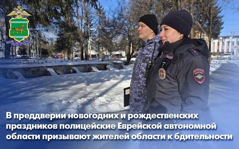 В преддверии новогодних и рождественских праздников полицейские ЕАО призывают жителей области к бдительности