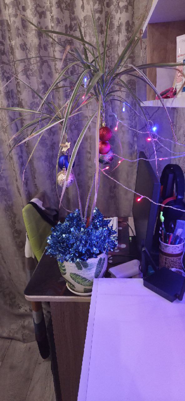 Марафон ёлок!. Елочки наших подписчиков, которые украсили свои дома Марафон ёлок!. Елочки наших подписчиков, которые украсили свои дома