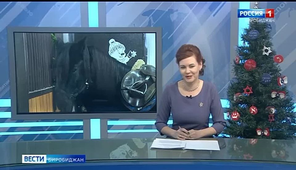 �� ���������� ��������� 2026 ������ ��� ������ ������� �������� ������!