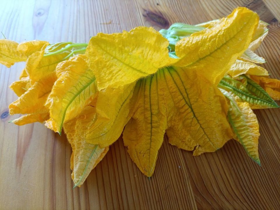 Вкусные цветы кабачков: как их приготовить и насладиться летом