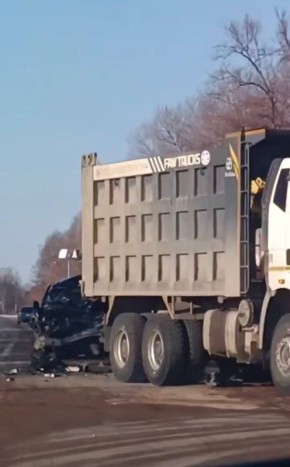 ����� �������� ����������� ���