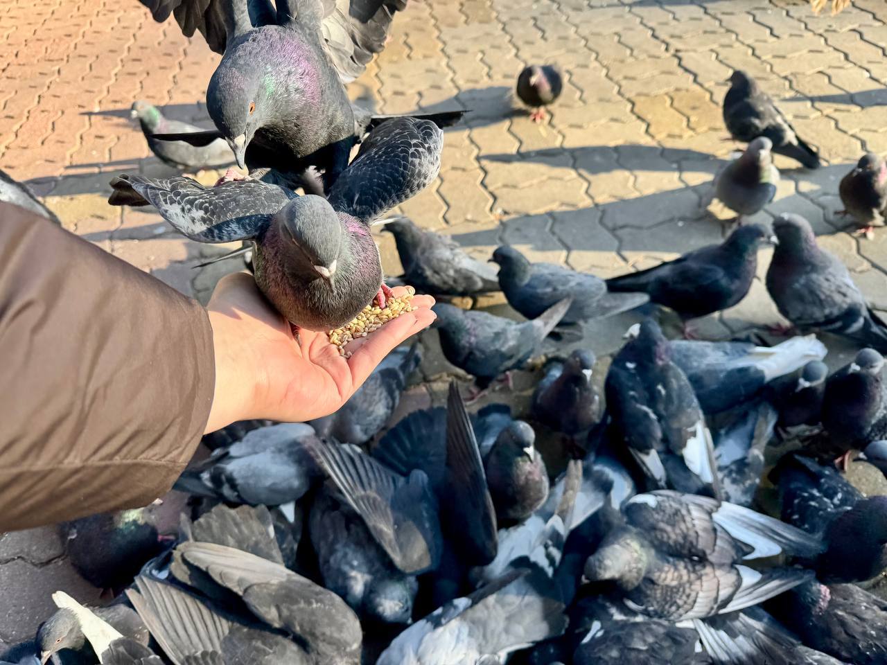 Мы подготовили для вас астропрогноз на завтрашний день: