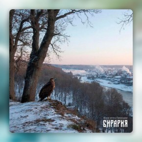 Сопка «Гнездо Орлана»: новый экотур от «Бирарии» в 2026 году