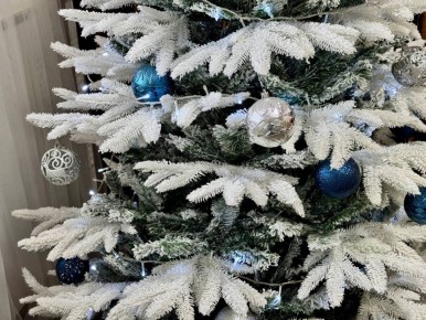 �� ����������� ��� ��� ������������ �� ���������� ����: