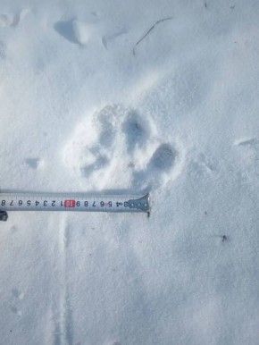 ����� �������� ����� ���������� � ������������ ���� ���������� ��������������� ������ ���