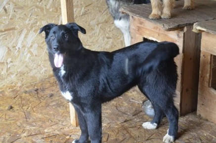 � ���� � 7 �� 8 ������ � ������ ������������� ���������� ������