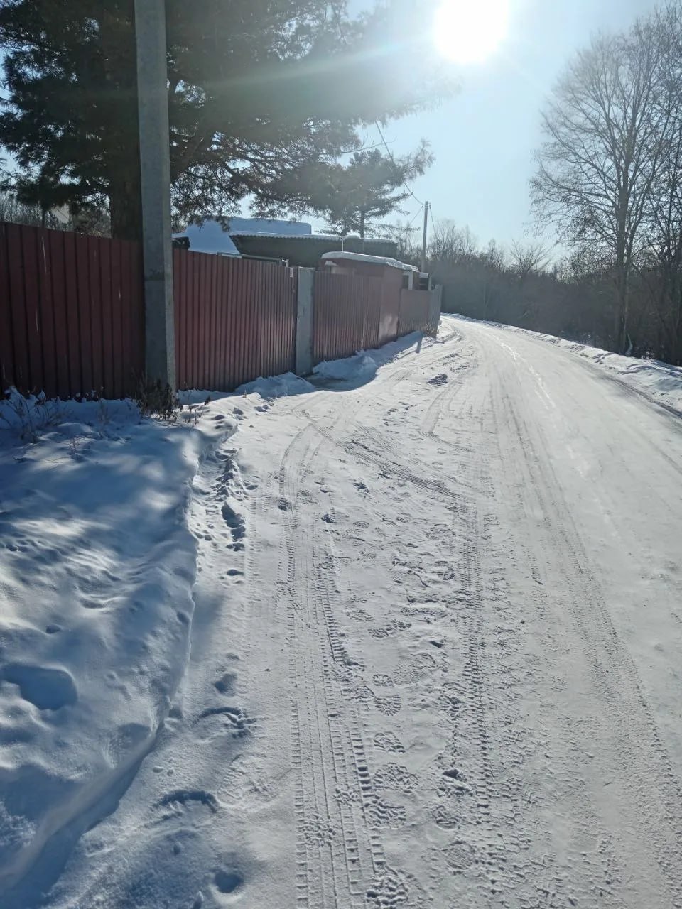 Следы молодого тигра зафиксированы возле села Раздольное в ЕАО Следы молодого тигра зафиксированы возле села Раздольное в ЕАО