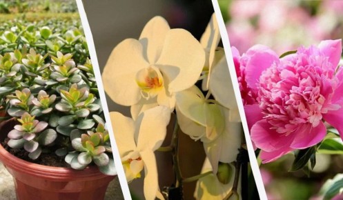 ��������, �������� �������: 14 ������ ���������� ��� ������ ����