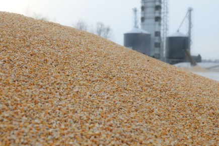 Обновление предприятий обеспечивает новый импульс для экономики Еврейской автономной области