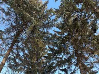 ����� ����� ����������� �������� ������ � �������, ����� ����� ������� ������� ����