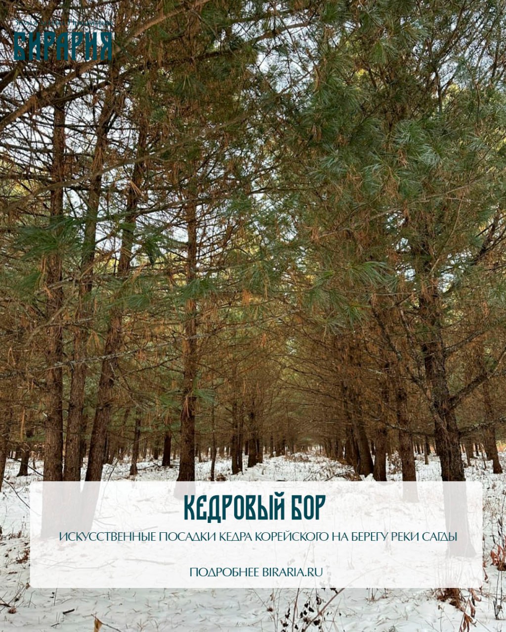 Поехали в Кульдур и пещеры с «Бирарией» в январе Поехали в Кульдур и пещеры с «Бирарией» в январе