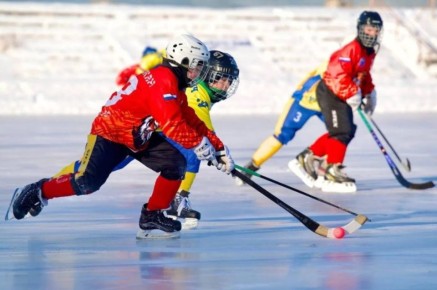 �� �������� ������������� ��������� ������������ �������������� ������ �� ������ � �����