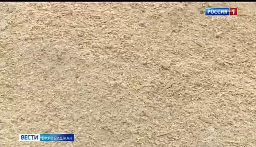 В Биробиджанском районе вновь кипит работа на элеваторе