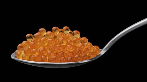 ����� ����������� ���������� ����: ����������� ������ �������