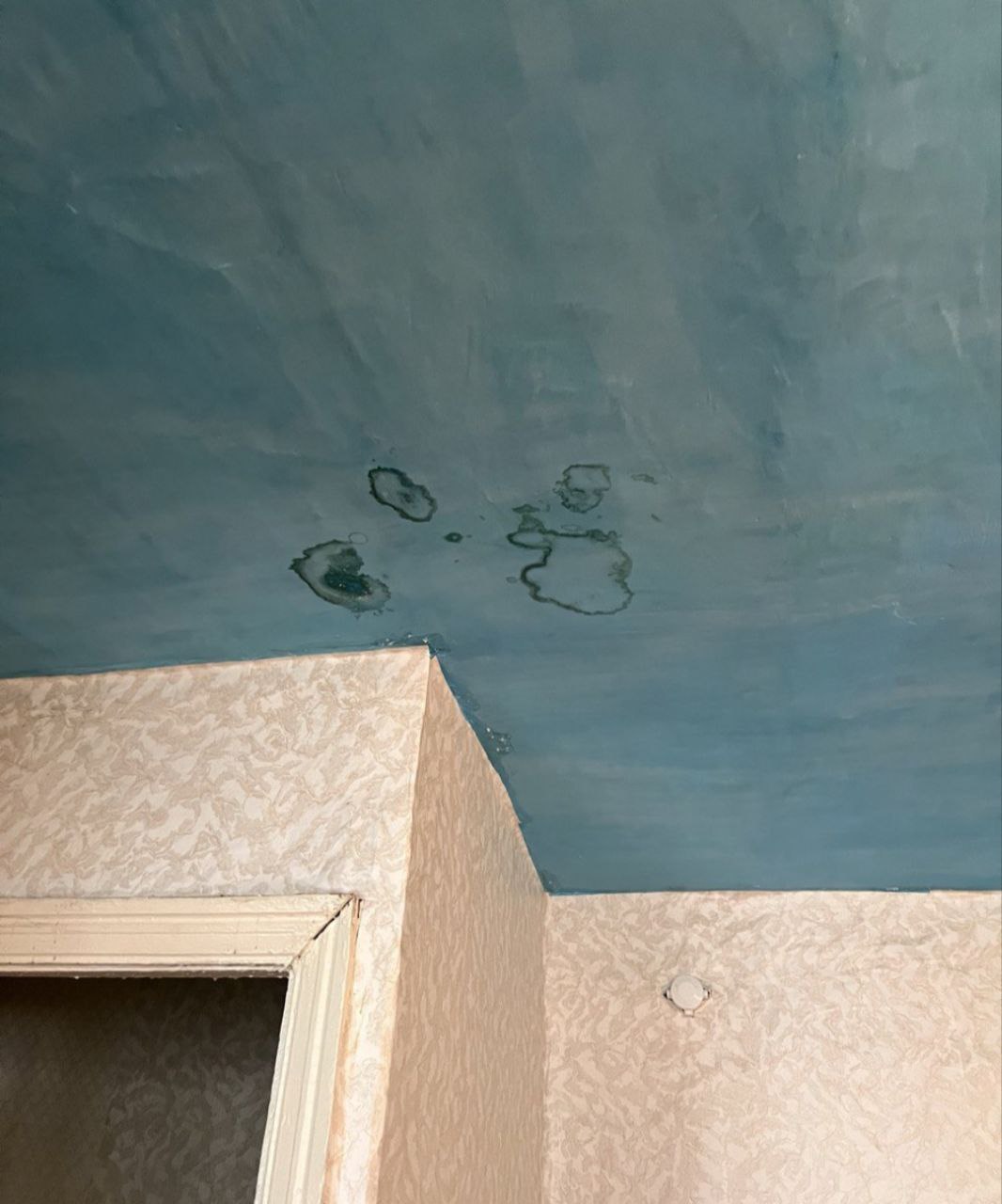 Прокуратура Биробиджанского района потребовала провести ремонт жилого помещения маневренного фонда Прокуратура Биробиджанского района потребовала провести ремонт жилого помещения маневренного фонда