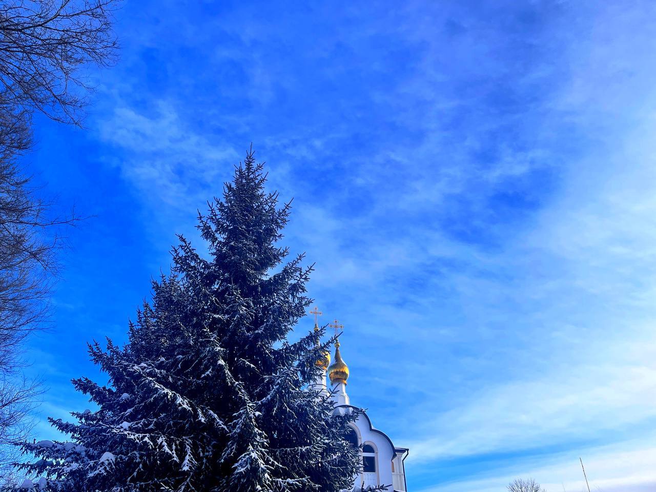 Доброе утро, друзья!. Сегодня в областной столице в течение суток ожидается ясная погода; ночью -30..32°, днем -17..19°, ветер слабый