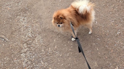 �������� � ������� ����� � ������: ������� ������� ��� �����