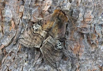 ���� � ��������: ������ ������� � ��� �� ������� �������� �������� ���������