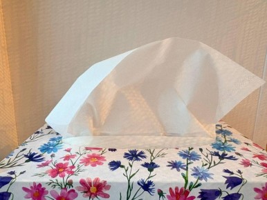 ������ ������ �������� �� ����� � �������: ������ ��������