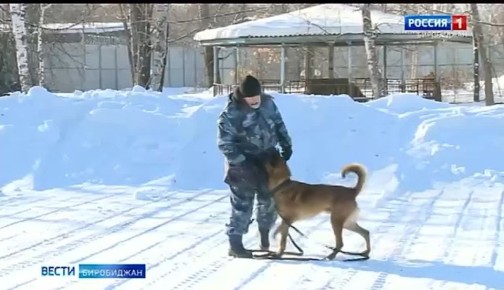 ���������� � ����������: ������ � ������������ ������� ��������� ����� ��������