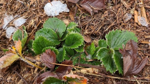 ��� ��������� �������� �����: ������� ������ ��������� ��������