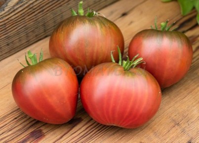 ����� ������ ��������: ��� ���������� ���� �������� ����������� � �����