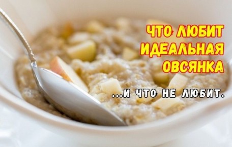 Как избежать распространенных ошибок при приготовлении овсянки