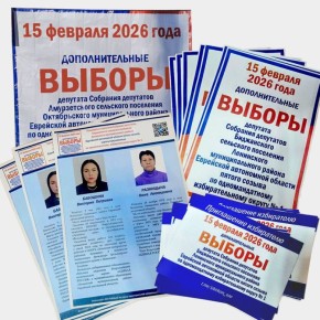 Идет активный этап подготовки к предстоящим дополнительным выборам в Биджанском и Амурзетском сельских поселениях