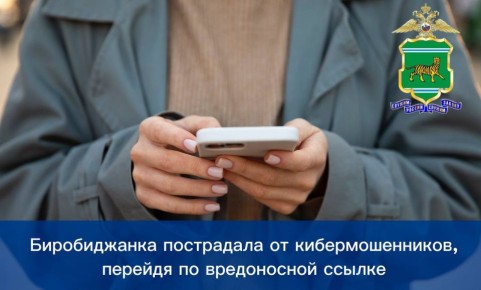 Биробиджанка пострадала от кибермошенников, перейдя по вредоносной ссылке