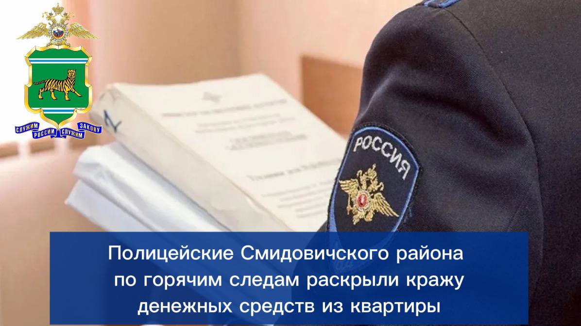 Полицейские Смидовичского района по горячим следам раскрыли кражу денежных средств из квартиры