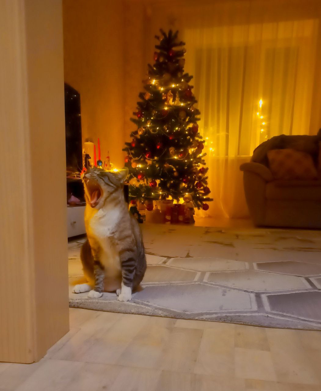 Терапия с усатыми-полосатыми Терапия с усатыми-полосатыми