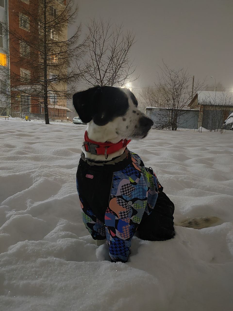 Терапия с усатыми-полосатыми Терапия с усатыми-полосатыми