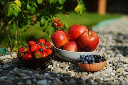 ������ ������ ��� ������� ��������: ������ ������ �� ��������